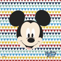 Mickey Fun