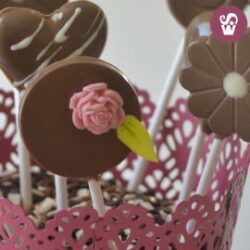 Frachocolat Leite 500Gr