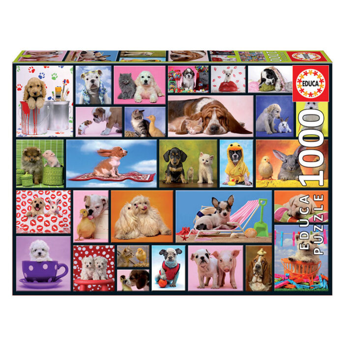 Puzzle 1000 Momentos Partilhados